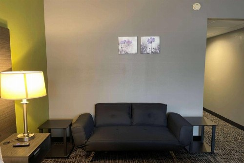 Mod Inn & Suites - image 40