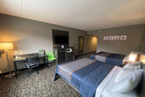Mod Inn & Suites - image 43