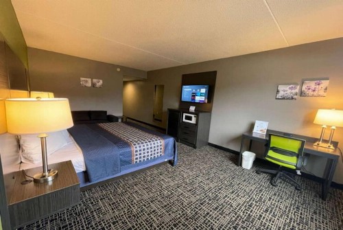 Mod Inn & Suites - image 44