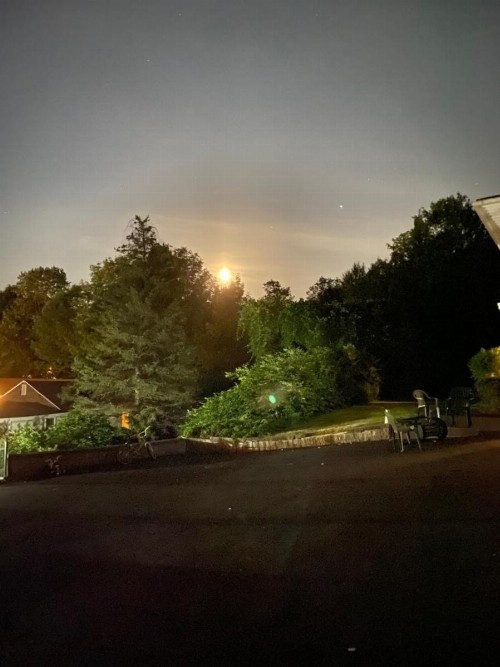 Fran Cove Motel - image 3