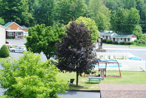Fran Cove Motel - image 46