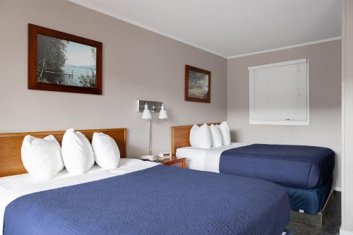 Admiral Motel - image 35
