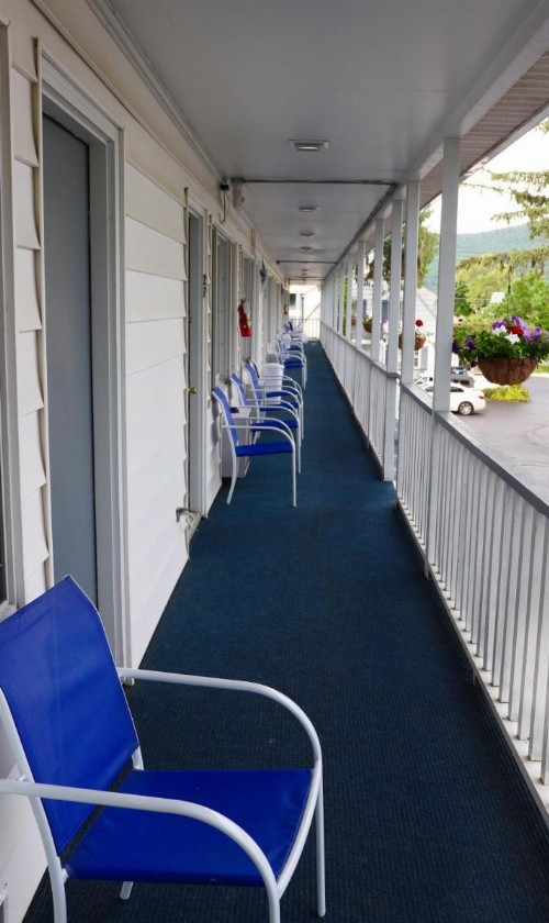 Admiral Motel - image 7