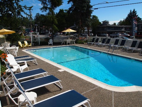 Admiral Motel - image 9
