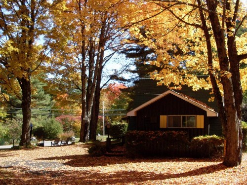 Amber Lantern Motel - image 2