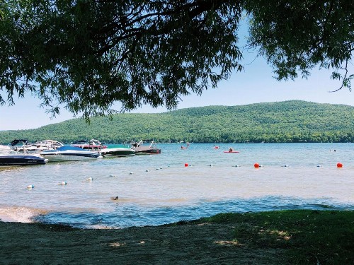 Shore Meadows Lodge LLC - image 17