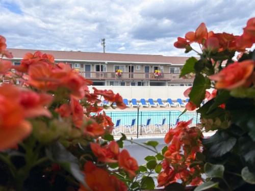 Park Lane Motel - image 46
