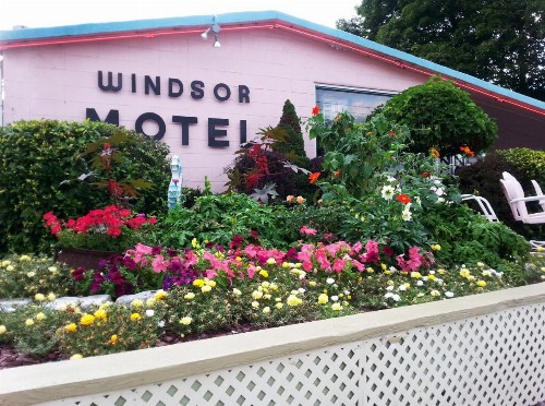 Windsor Motel - image 12