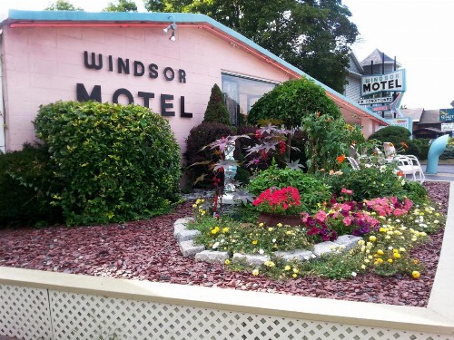 Windsor Motel - image 8