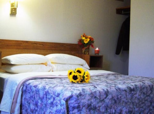 Tall Pines Motel - image 13