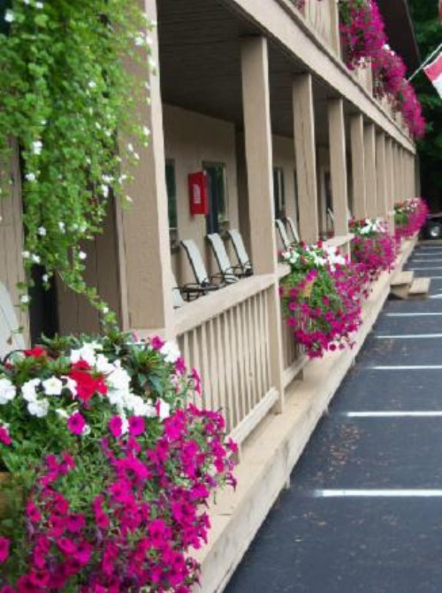 Tall Pines Motel - image 4