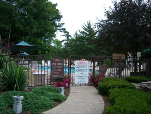Tall Pines Motel - image 7