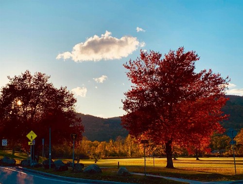 The Sundowner on Lake George - image 15