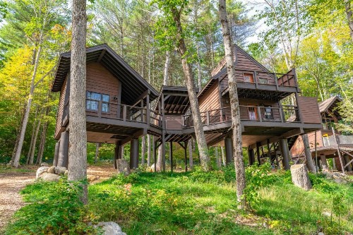 Forest Hill Lodging - image 11