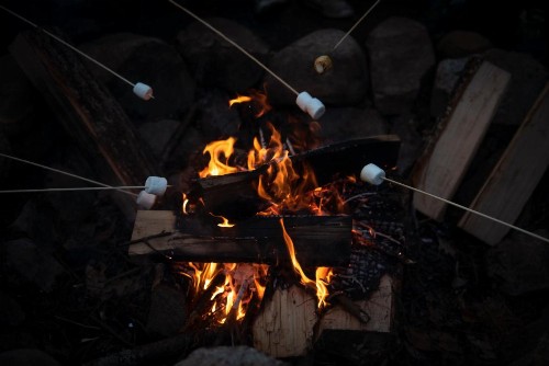 Forest Hill Lodging - image 27