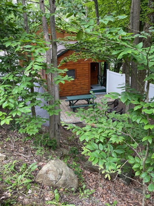 English Brook Cottages - image 12
