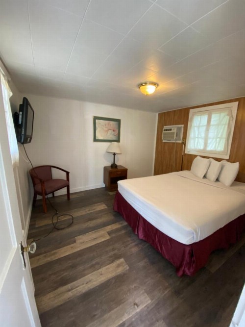 Adirondack Oasis Motel