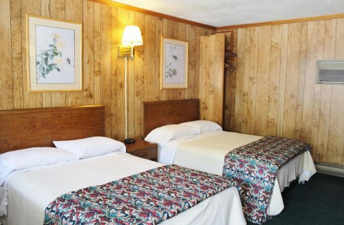 Barberry Court Motel - image 19