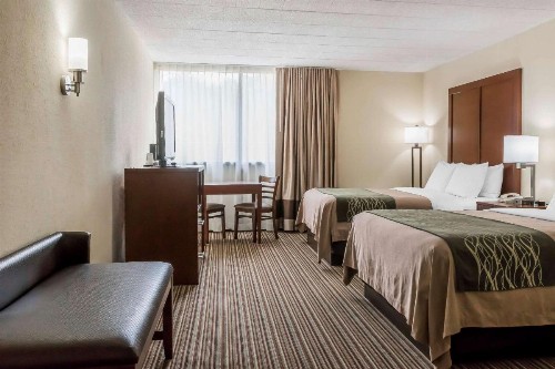 Comfort Inn - Pocono Mountains - image 14