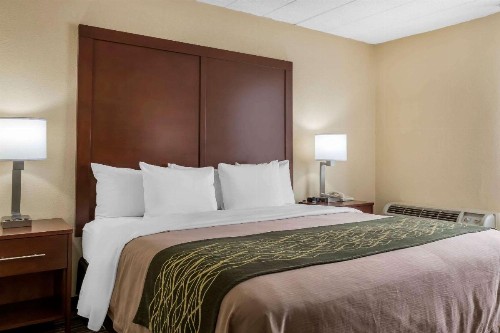 Comfort Inn - Pocono Mountains - image 15