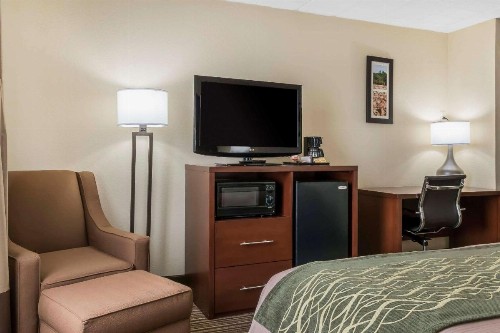 Comfort Inn - Pocono Mountains - image 19