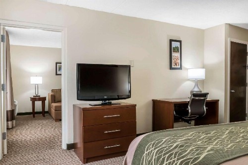 Comfort Inn - Pocono Mountains - image 23