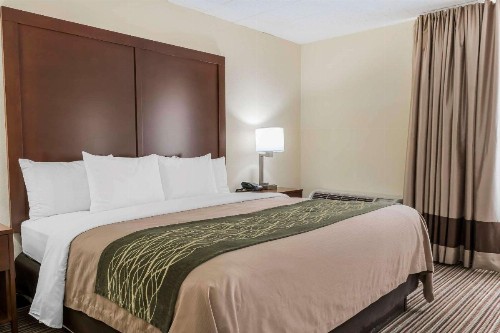 Comfort Inn - Pocono Mountains - image 24
