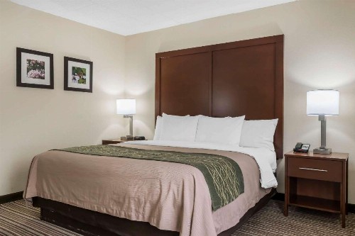 Comfort Inn - Pocono Mountains - image 26