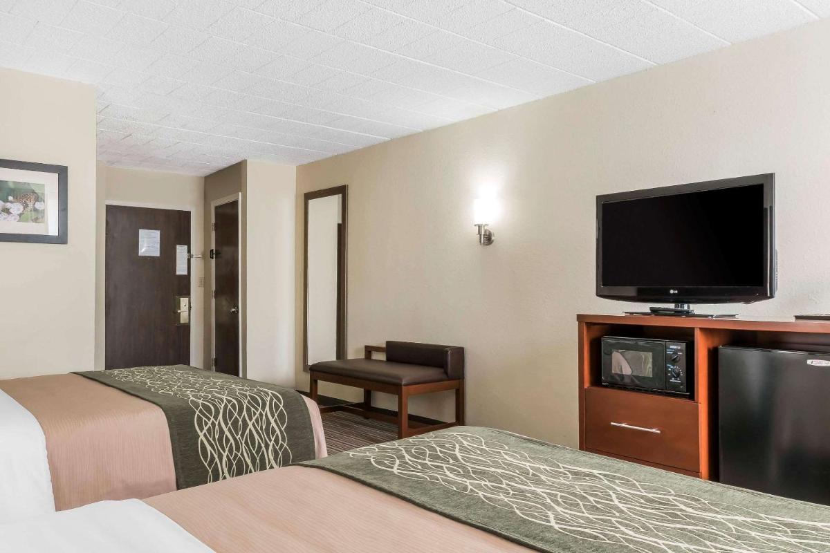 Comfort Inn - Pocono Mountains - image 4