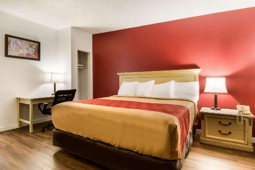 Econo Lodge Inn & Suites Pocono near Lake Harmony - image 22