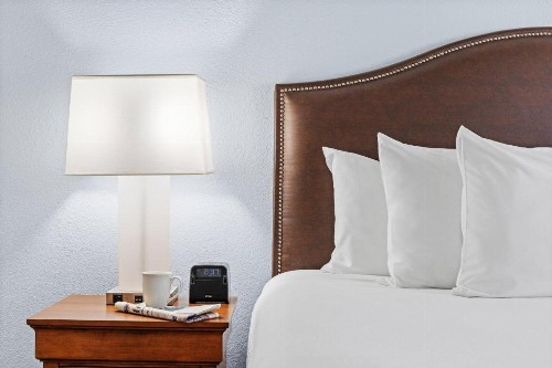 WorldMark Havasu Dunes - image 27