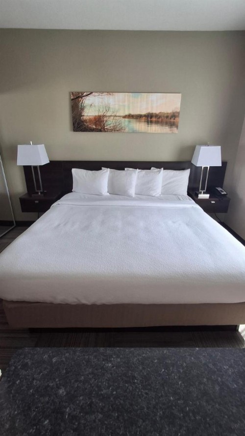 Island Suites - image 25
