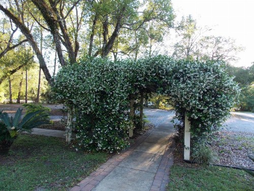 The Ann Stevens House - image 13