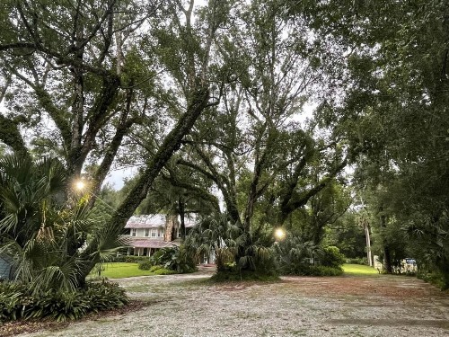 The Ann Stevens House - image 14