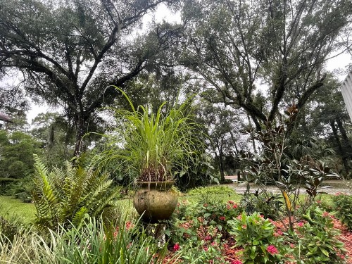 The Ann Stevens House - image 7