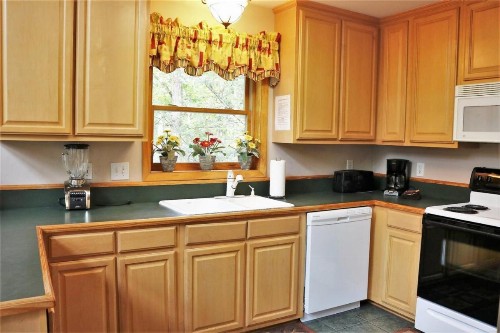 Mountain Laurel Lodge - image 8