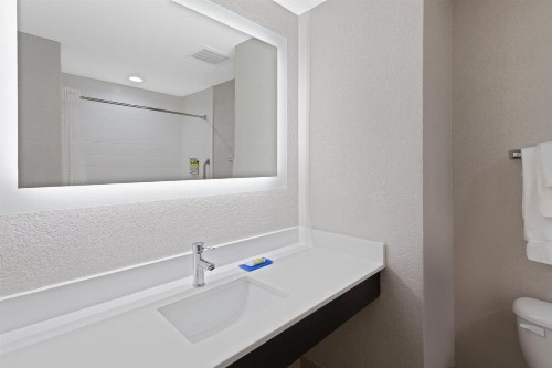 Holiday Inn Express Hotel & Suites Lake Placid an IHG Hotel - image 19