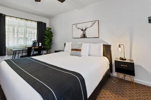 Alpenrose Inn - image 45