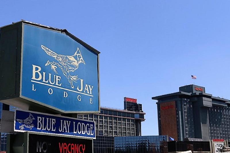 Blue Jay Lodge - main image