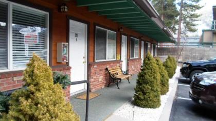 Paradice Motel - image 8