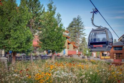 Spruce Grove Field and Stream Cabin Condo - image 11