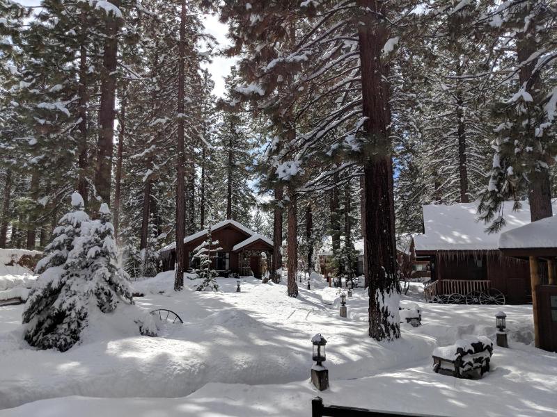 Black Bear Lodge - image 6