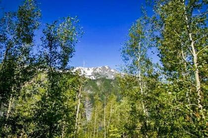 The Cherry Leaf Lodge & Retreat on Fallen Leaf Lake - image 11
