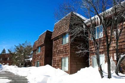 The Emerald by Lake Tahoe Accommodations - image 4