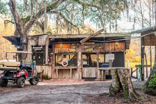 Camp Mack A Guy Harvey Lodge - image 11