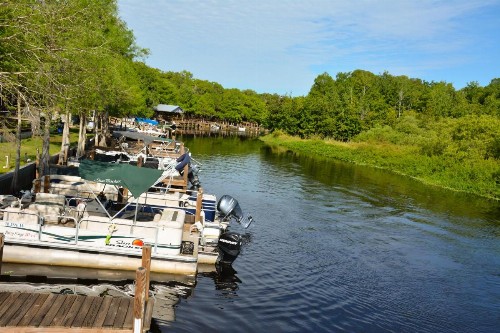 Camp Mack A Guy Harvey Lodge - image 28