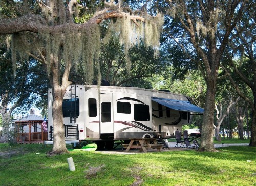 Camp Mack A Guy Harvey Lodge - image 4