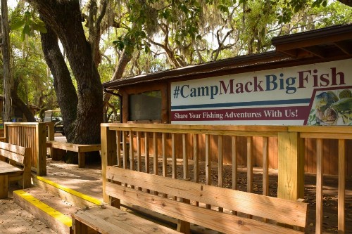 Camp Mack A Guy Harvey Lodge - image 9