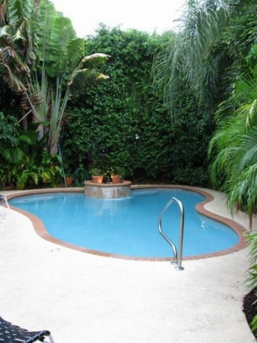 Mango Inn Bed and Breakfast - image 11