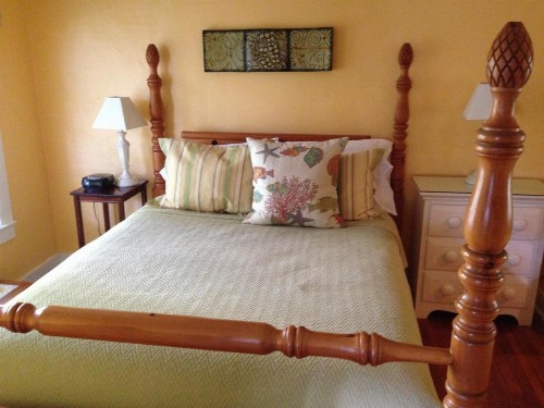 Mango Inn Bed and Breakfast - image 8